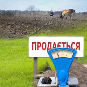 Ціна чорнозему: скільки насправді коштує земля України