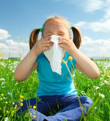 Літо – пора алергій!