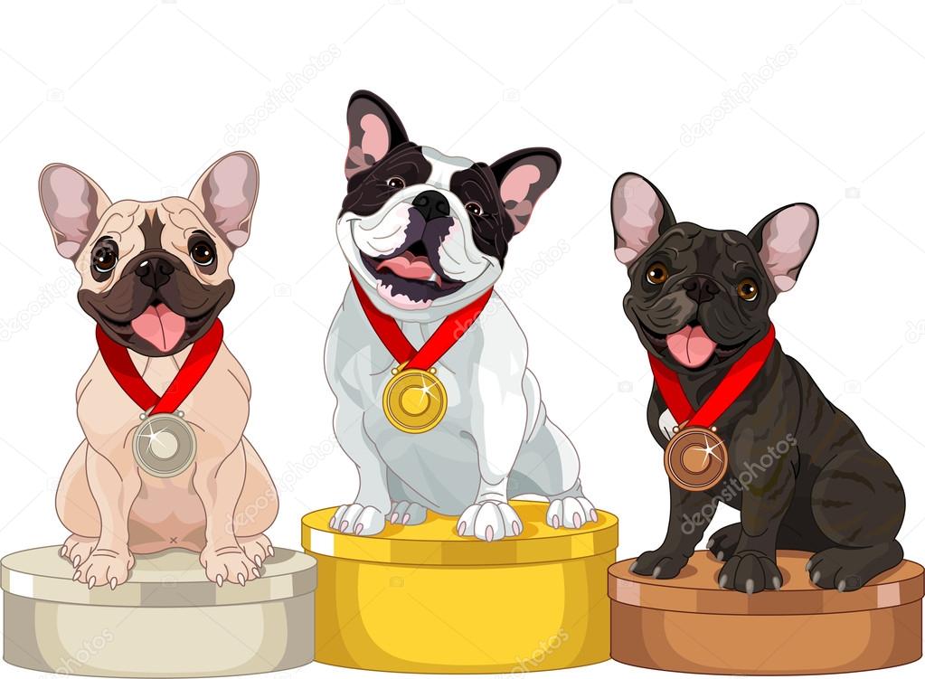 depositphotos 14662409 Winners of dog competition