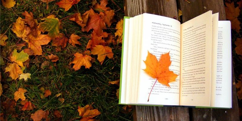 autumn book