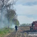 На Полтавщині поліцейські склали 117 адміністративних матеріалів за самовільне випалювання рослинності 