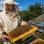 У інституті П. І. Прокоповича вивели новий тип породи бджіл – “Гадяцький”