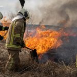 На території Петрівсько-Роменської громади горіло 1,5 га сухостою