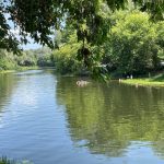 Фахівці не виявили відхилень якості води відкритих водойм на Гадяччині