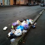 У Гадячі чоловіка оштрафували за викидання сміття на узбіччі дороги