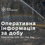 У Великобудищанській громаді горів лісовий масив