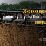 На Полтавщині завершили збирання ранніх зернових та зернобобових