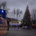 800 тисяч на ялинку – Гадячі оголосили опитування стосовно доцільності встановлення святкового дерева