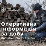 У Гадячі горіла господарча споруда