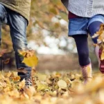 Коли в школах Гадяччини розпочнуть осінні канікули