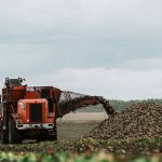 Полтавщина завершує жнива