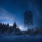 У Великих Будищах через конфлікт померли чоловік та жінка