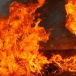 На Гадяччині в пожежі загинула свійська тварина