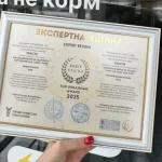 Вибір країни: як незалежна аналітична оцінка допомагає компаніям будувати репутацію – відгуки бізнесу