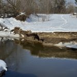 Коли відновлять дамбу між Веприком та Книшівкою