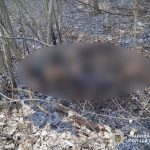 У Березовій Луці під час спалення листя загинула 86-річна жінка