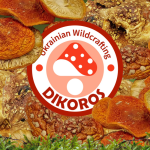 Які важливі мікроелемети містять сушені гриби?