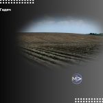 «Гроші в землю»: у Гадячі в підготовку полів вкладуть понад 3 млн грн