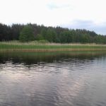 У Красній Луці під час відпочинку на воді загинув 23-річний чоловік