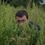 Територія заросла бур’янами: у Гадячі оштрафували двох осіб за порушення правил благоустрою